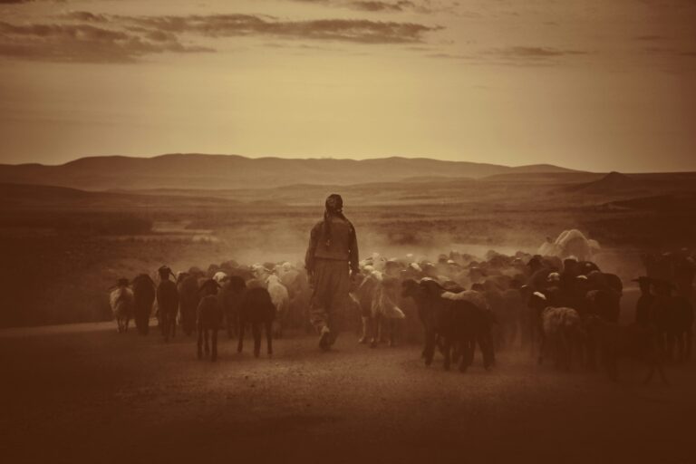 Sheep Need Shepherds, not Managers